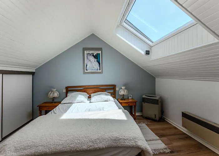 Vakantiehuis Maison 3 A 100m De La - Fr-1-521-270 Biscarrosse